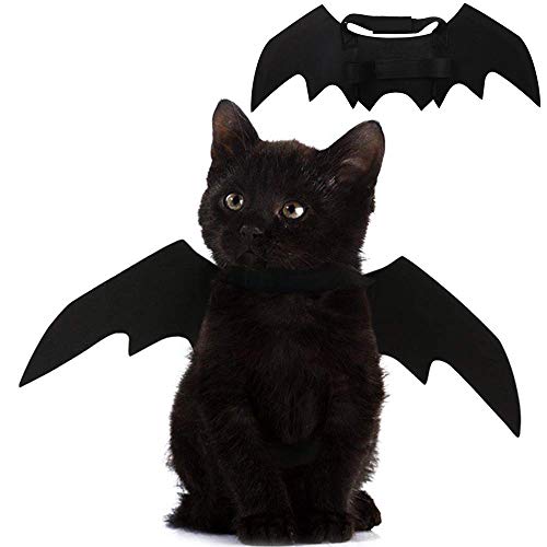 Accessorio costume con ali di pipistrello di Halloween per gatti e cani di piccola taglia
