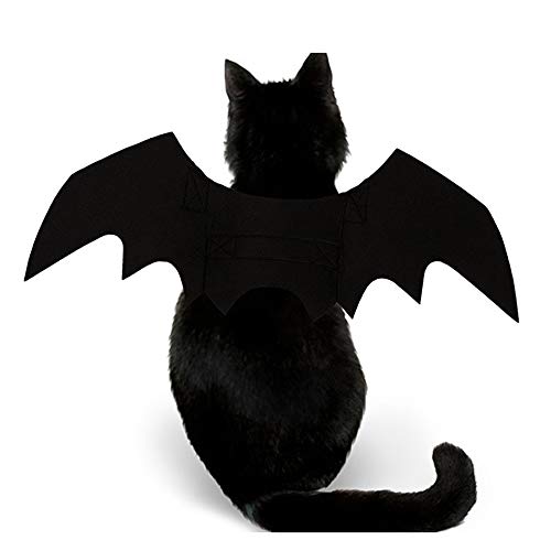 Accessorio costume con ali di pipistrello di Halloween per gatti e cani di piccola taglia