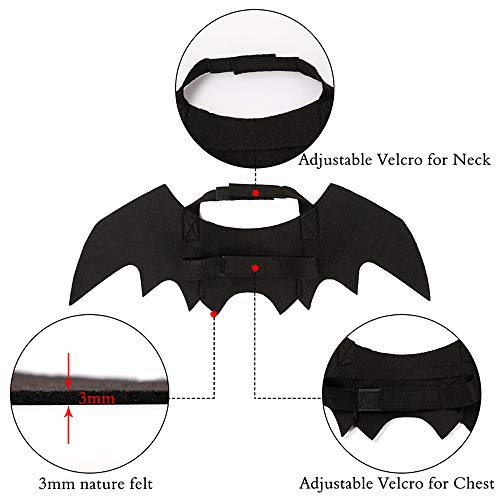 Accessorio costume con ali di pipistrello di Halloween per gatti e cani di piccola taglia