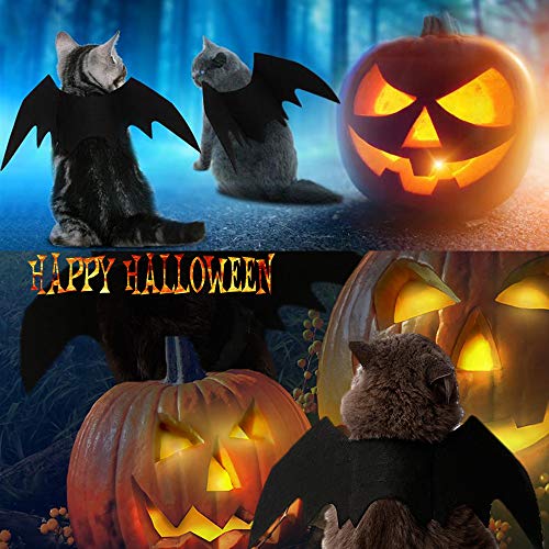 Accessorio costume con ali di pipistrello di Halloween per gatti e cani di piccola taglia