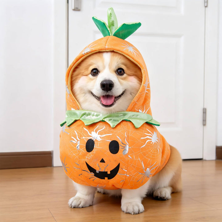 Costume da cane inquietante di Halloween con braccia imbottite per dolcetto o scherzetto