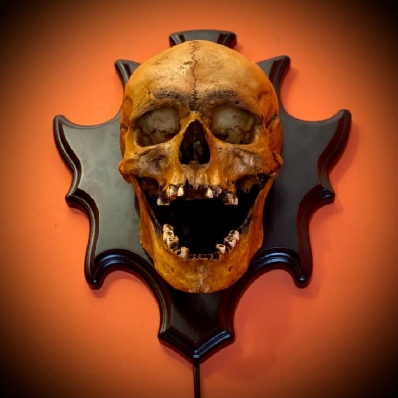 Halloweens LED-natlampe med kranie, lys- og lydmodul