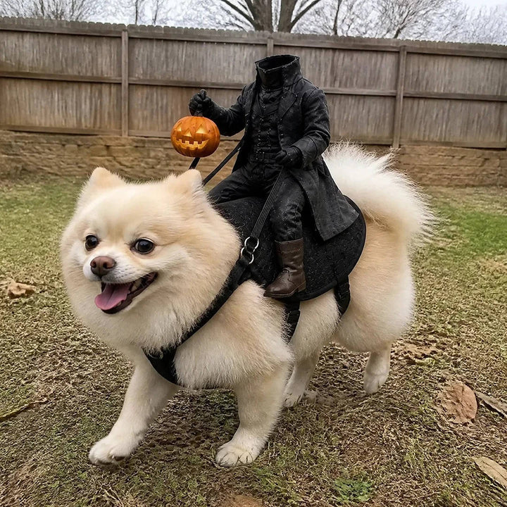 Costume da animale domestico del Cavaliere senza testa di Halloween per gatti e cani