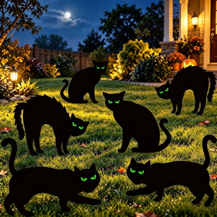 Halloweenin 6 Pack -pakkaus mustia kissapihakoristeita pimeässä hohtavilla silmillä