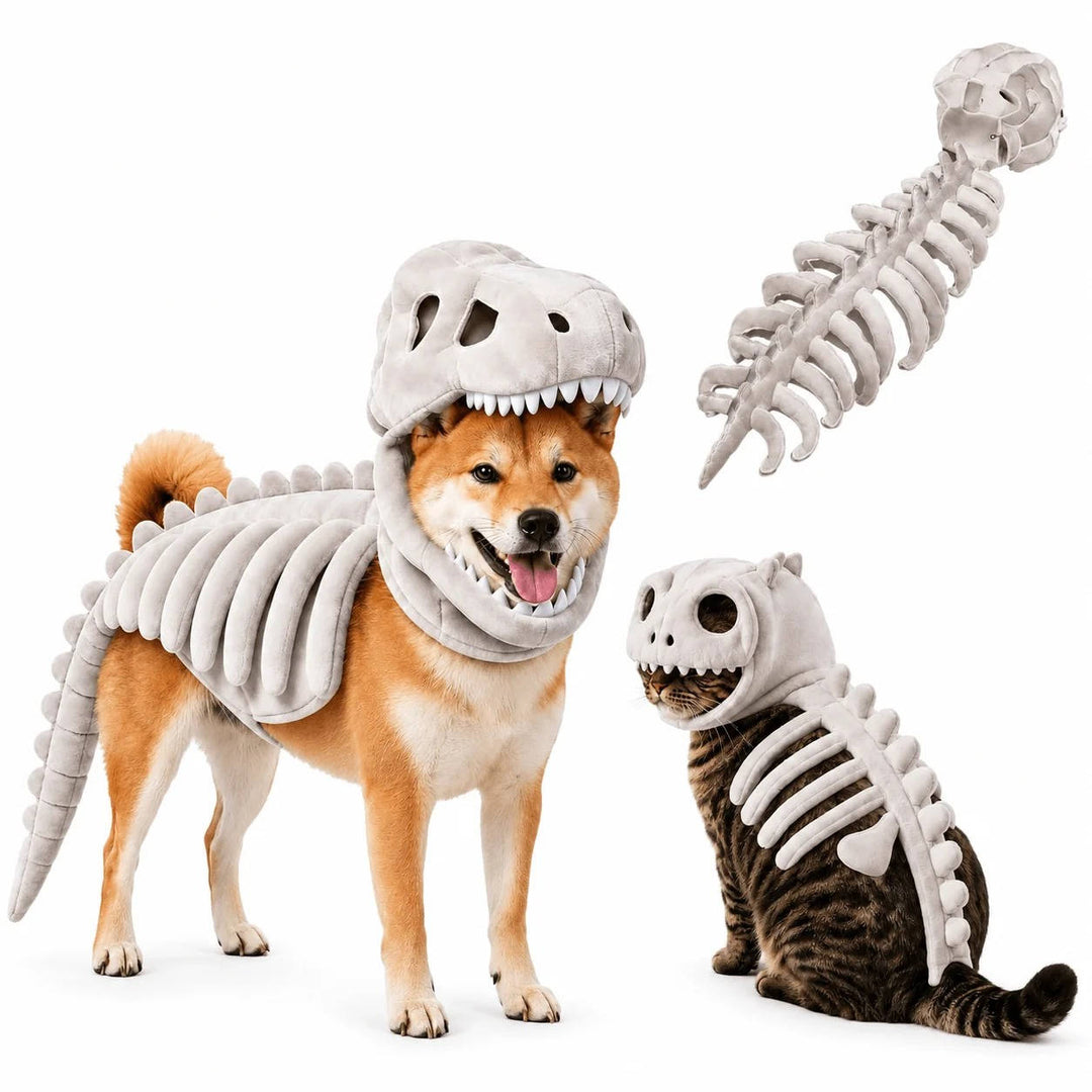 Halloweens skelettdräkt för hundar och katter med dinosaurietema
