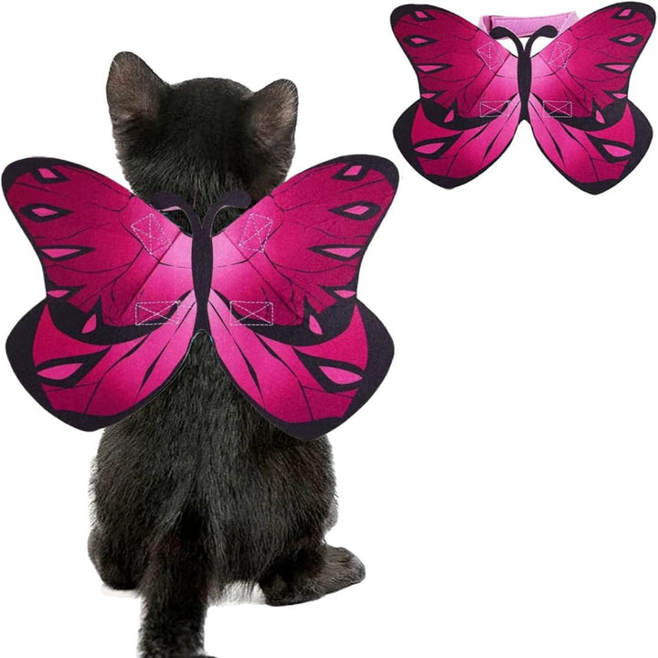 Accessorio costume con ali di pipistrello di Halloween per gatti e cani di piccola taglia
