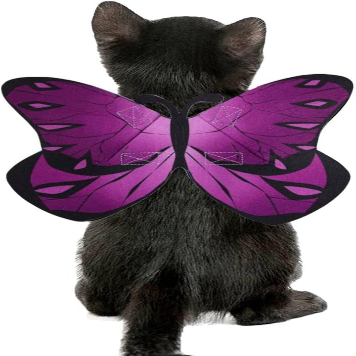 Accessorio costume con ali di pipistrello di Halloween per gatti e cani di piccola taglia