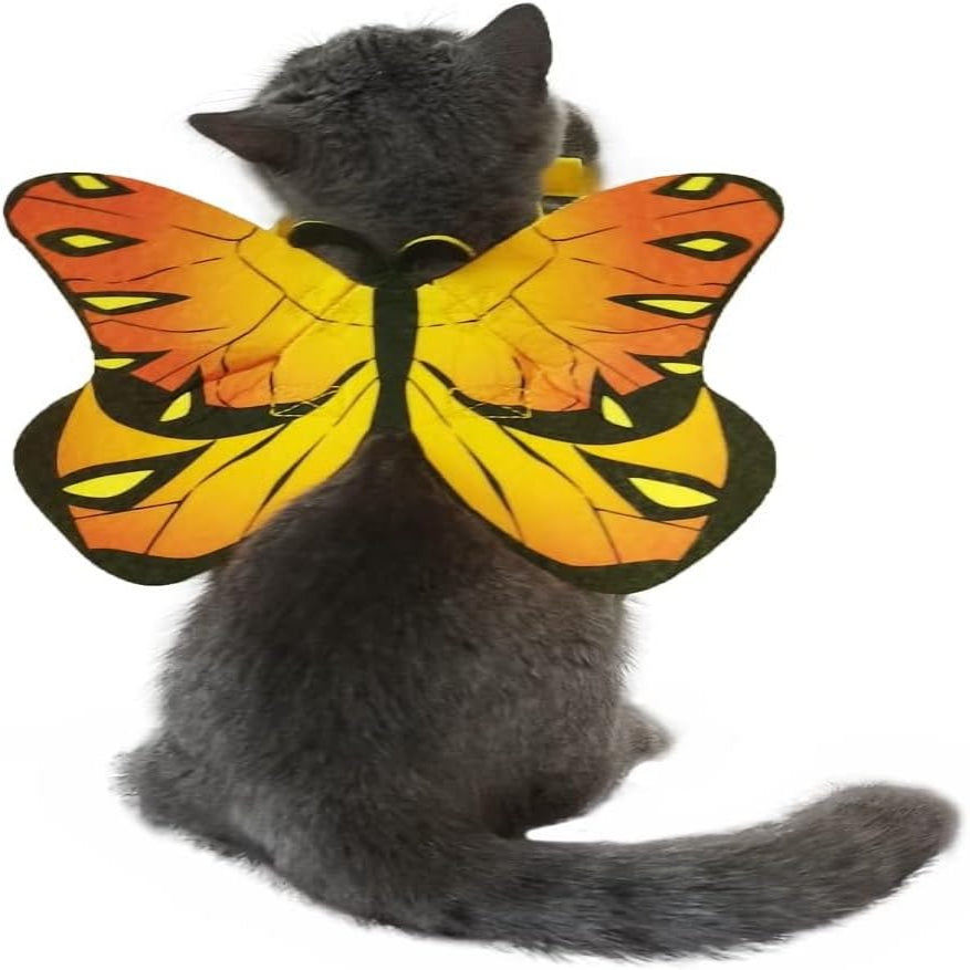 Accessorio costume con ali di pipistrello di Halloween per gatti e cani di piccola taglia