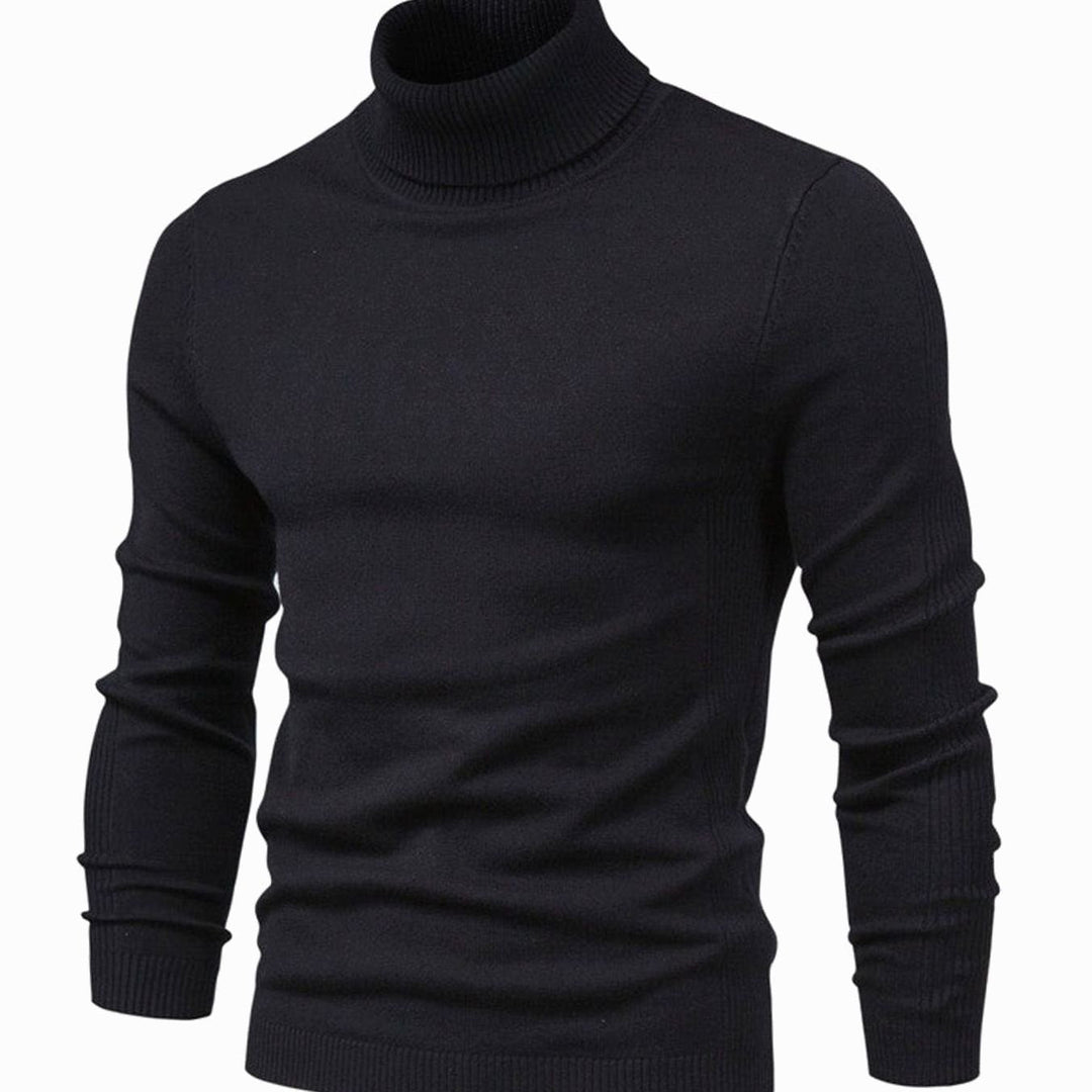 Men's Tailored Turtleneck Knit Sweater