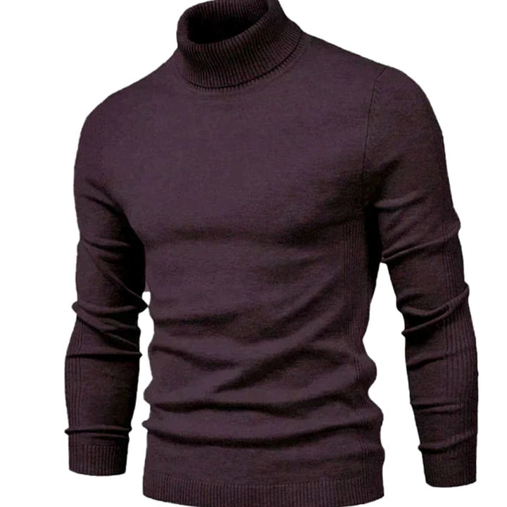 Men's Tailored Turtleneck Knit Sweater